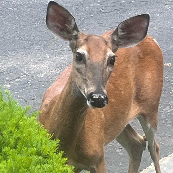 Thanks for stopping by. Leave a comment, start a convo, take a seat or not :) - Picture 3 of 5